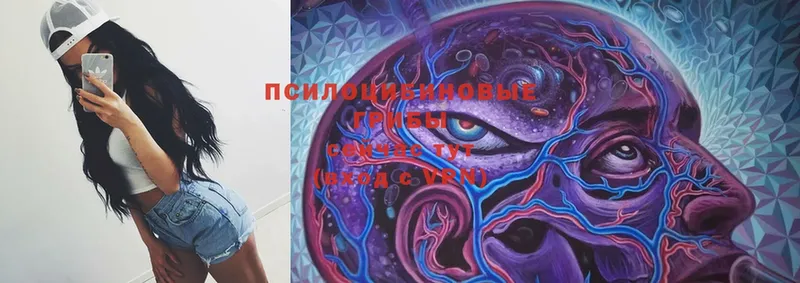 Галлюциногенные грибы Cubensis  KRAKEN ССЫЛКА  Тара  где найти  